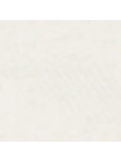 Wrangler - AMERICANA TEE / VINTAGE WHITE - Férfi póló