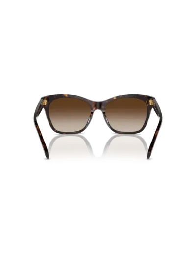 Ralph napszemüveg - Shiny Dark Havana / Gradient Brown