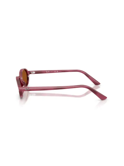 Ray-Ban napszemüveg - Violet Havanna / Dark Brown