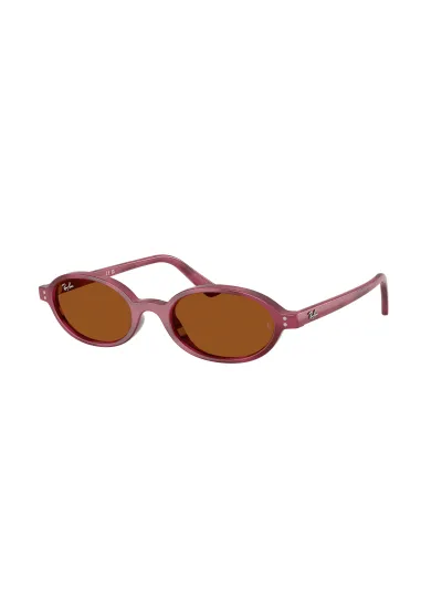 Ray-Ban napszemüveg - Violet Havanna / Dark Brown