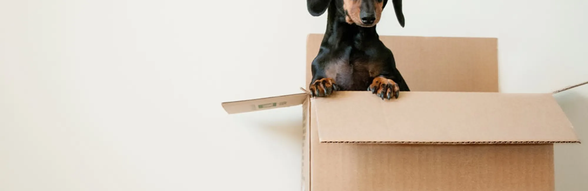 Alternatív megoldásokkal a környezetért, avagy mibe csomagolnak a webáruházak