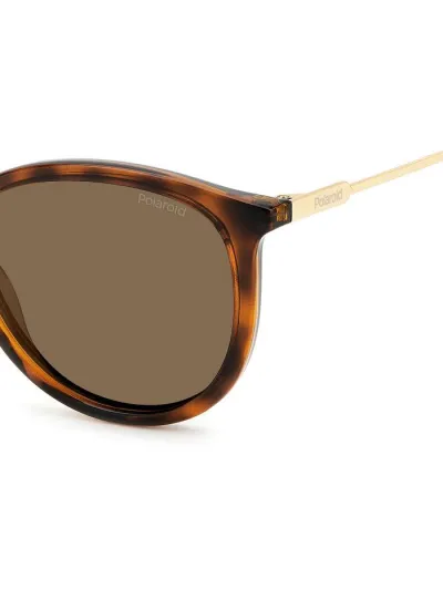 Polaroid napszemüveg -  HAVANA / GOLD Polarized