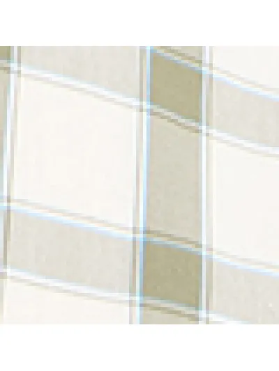 Lee - LEE BUTTON DOWN / ECRU - Férfi ing