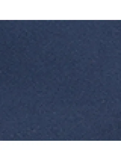 Lee - RELAXED CHINO SHORT / DEEP NAVY - Sportos Férfi rövidnadrág