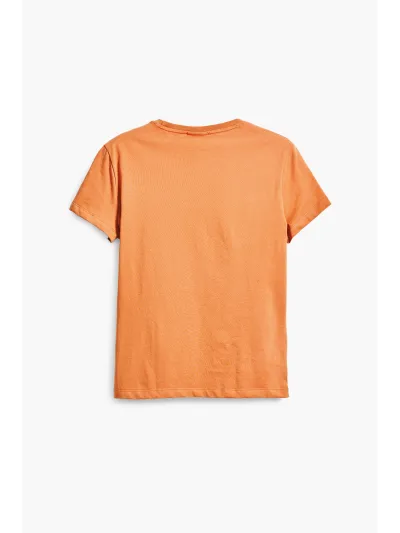 Desigual - PARANÁ - Női póló