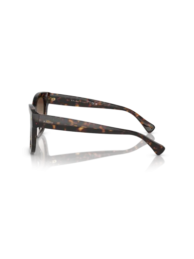 Ralph napszemüveg - Shiny Dark Havana / Gradient Brown