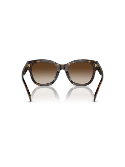 Ralph napszemüveg - Shiny Dark Havana / Gradient Brown