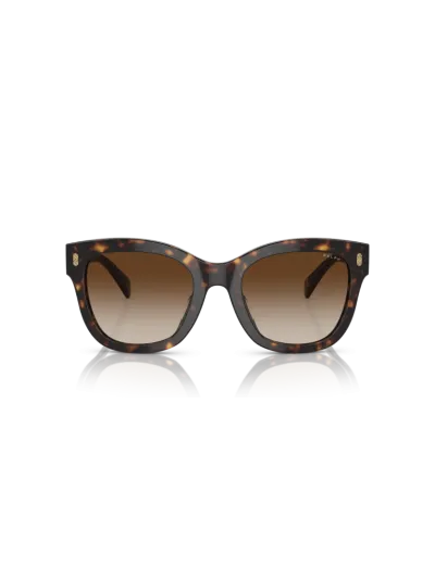 Ralph napszemüveg - Shiny Dark Havana / Gradient Brown
