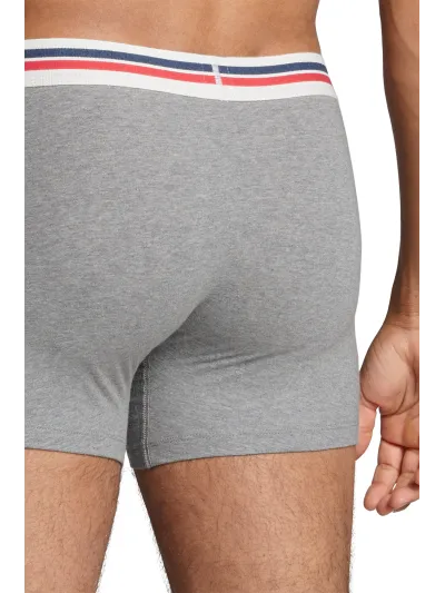 Levi's - Placed Sportswear Logo Boxer Brief - Férfi alsónadrág szett - 2 db