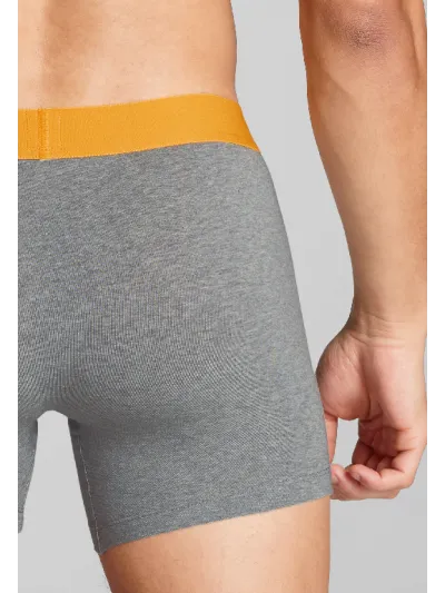 Levi's  - Men Solid Basic / Boxer Brief - Férfi boxeralsó szett - 2 db