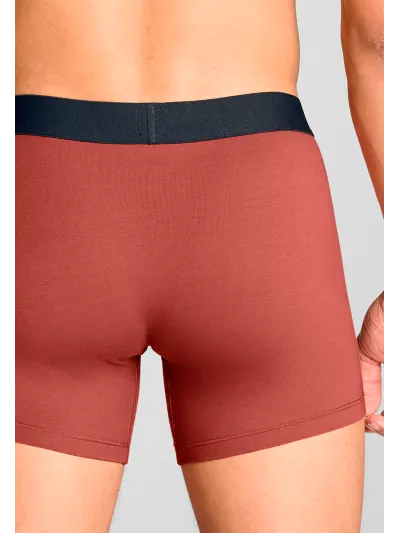 Levi's - Solid Basic Boxer Brief - Férfi alsónadrág szett - 2 db