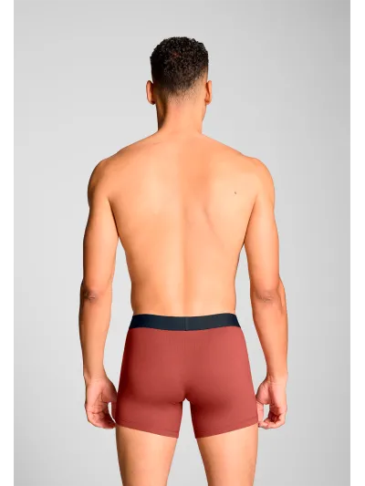 Levi's - Solid Basic Boxer Brief - Férfi alsónadrág szett - 2 db