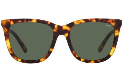 Polo Ralph Lauren napszemüveg - Shiny Havana / Dark Green