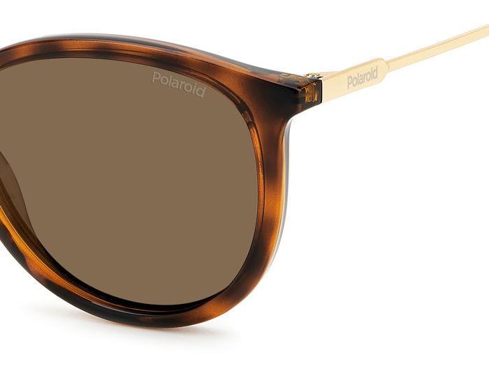 Polaroid napszemüveg -  HAVANA / GOLD Polarized