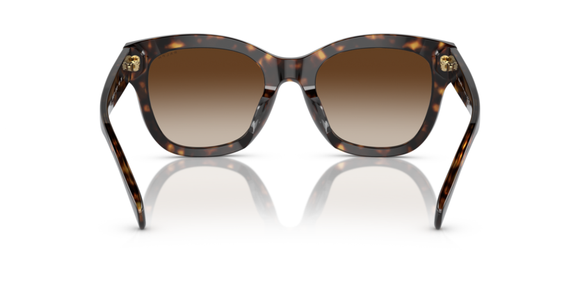 Ralph napszemüveg - Shiny Dark Havana / Gradient Brown