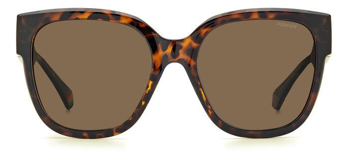 Polaroid napszemüveg - Havana / Brown Polarized