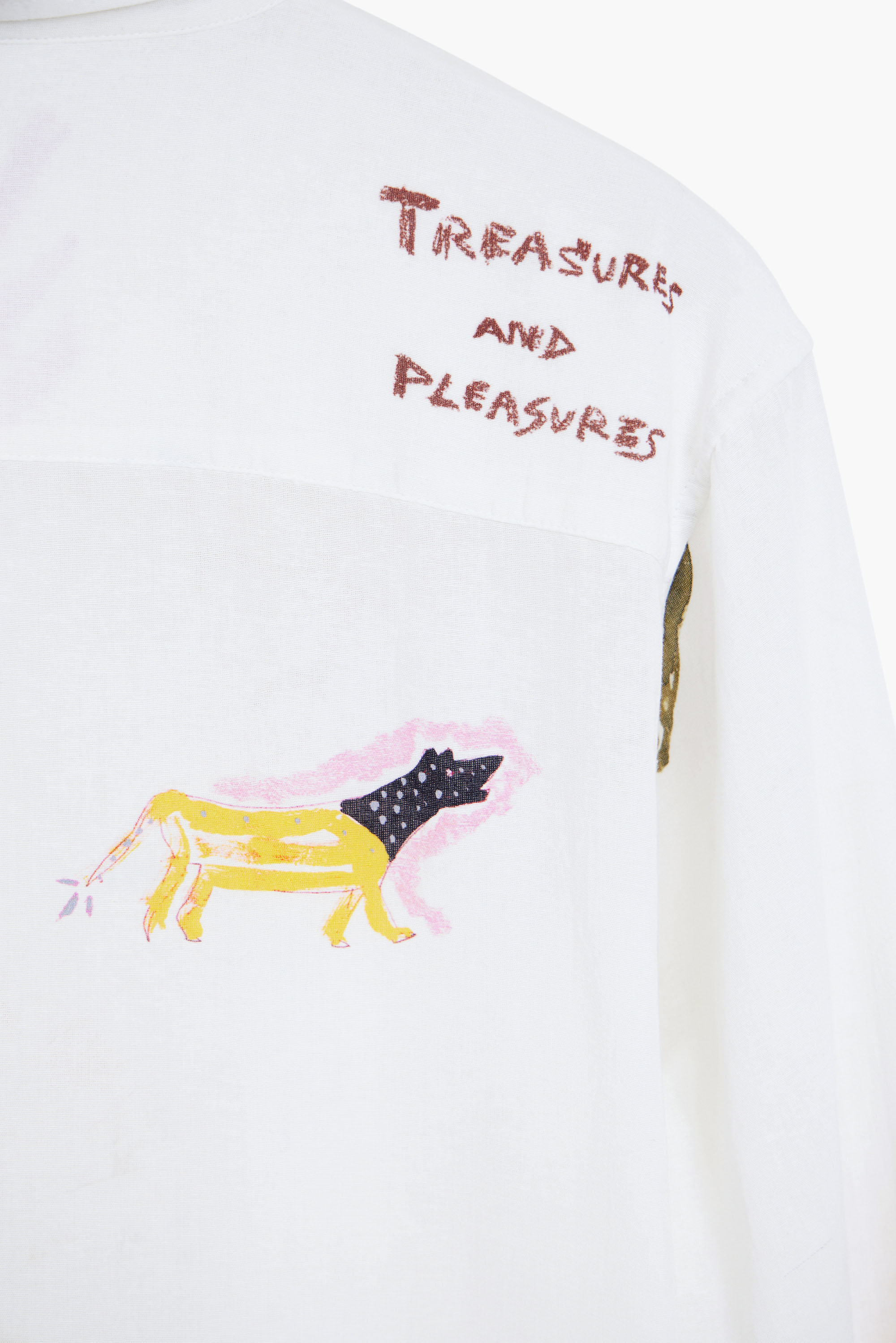 Desigual - CAMEL - Férfi ing