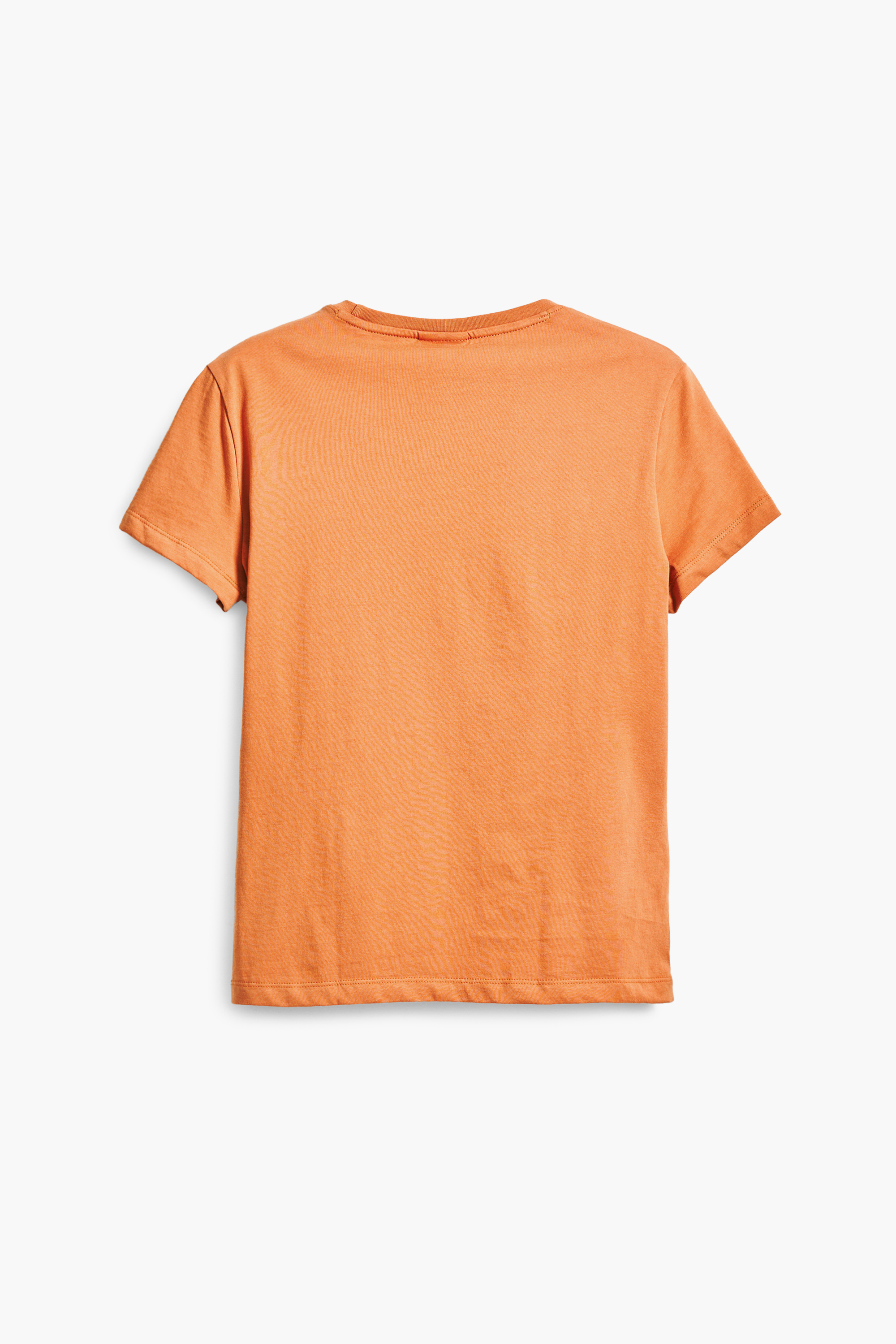 Desigual - PARANÁ - Női póló