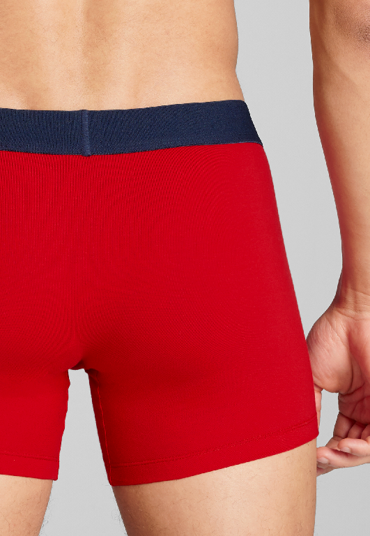 Levi's  - Men Solid Basic / Boxer Brief - Férfi boxeralsó szett - 2 db