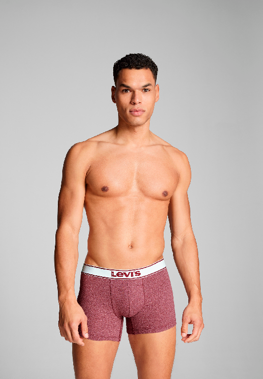 Levi's  - Men Vintage Heather / Boxer Brief - Férfi boxeralsó szett - 2 db
