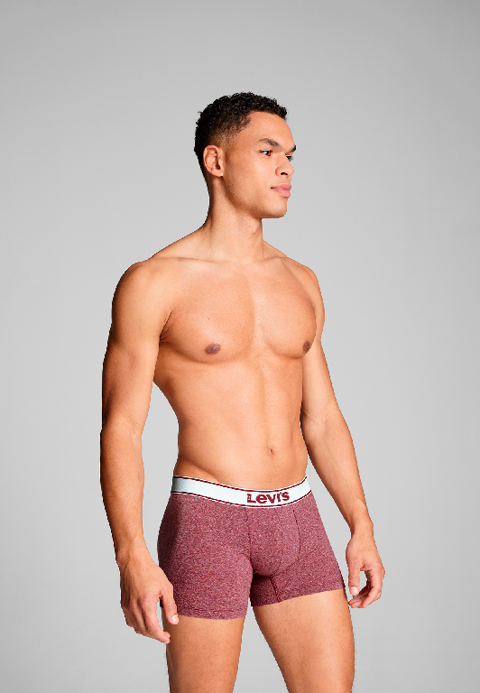 Levi's  - Men Vintage Heather / Boxer Brief - Férfi boxeralsó szett - 2 db