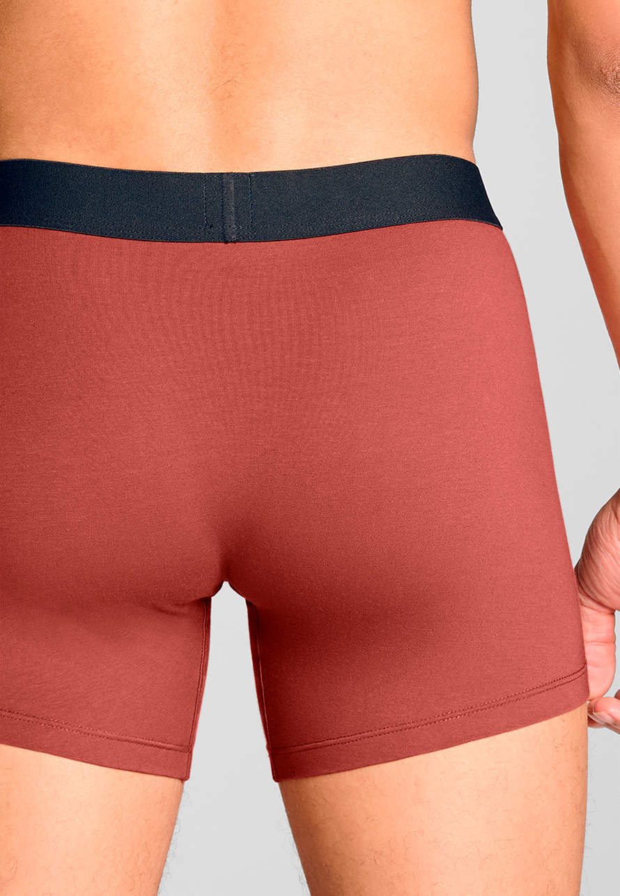 Levi's - Solid Basic Boxer Brief - Férfi alsónadrág szett - 2 db