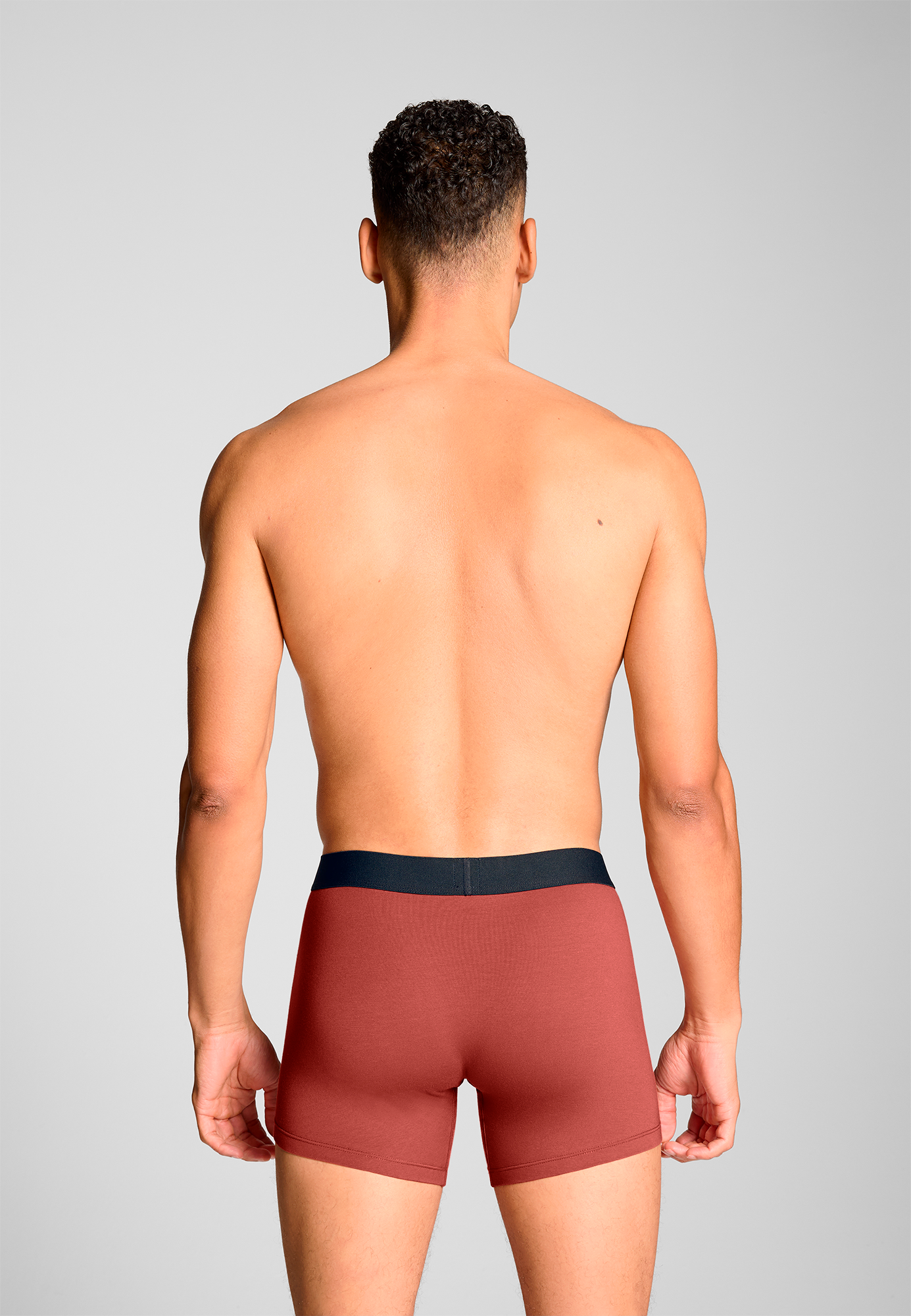 Levi's - Solid Basic Boxer Brief - Férfi alsónadrág szett - 2 db