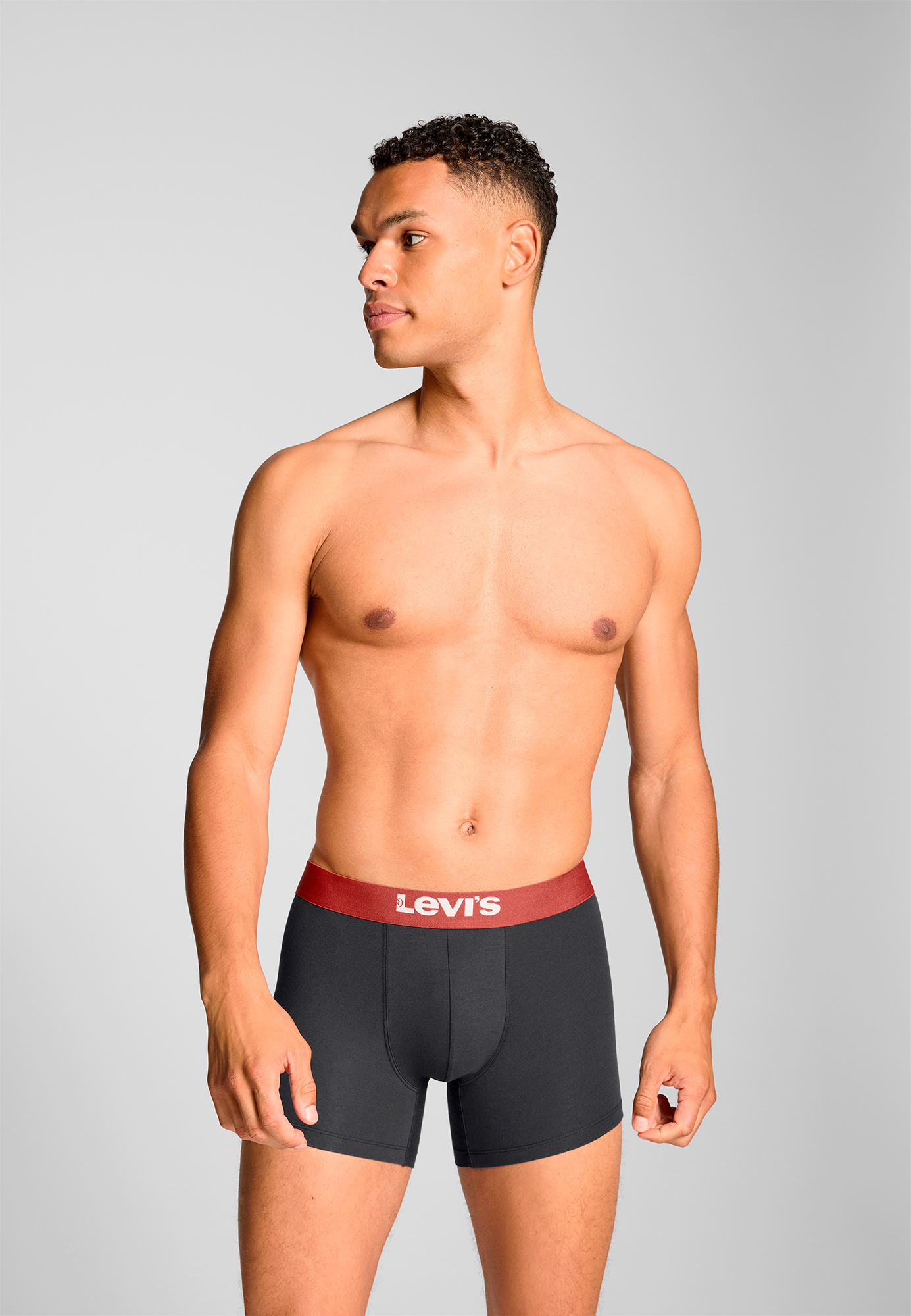 Levi's - Solid Basic Boxer Brief - Férfi alsónadrág szett - 2 db
