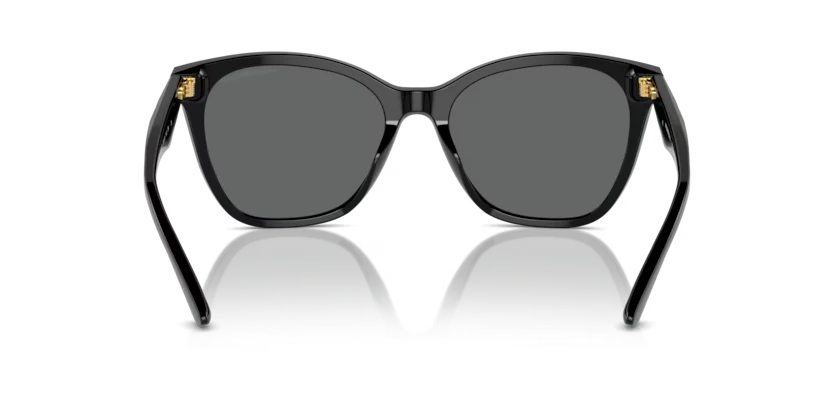 Emporio Armani napszemüveg - Shiny Black / Dark Grey