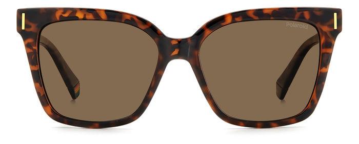 Polaroid napszemüveg - Havana / Bronze Polarized