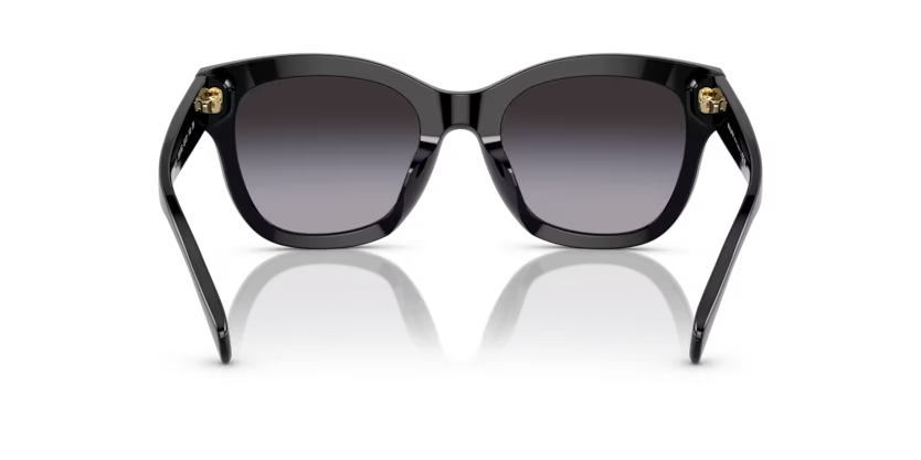 Ralph napszemüveg - Shiny Black / Gradient Grey