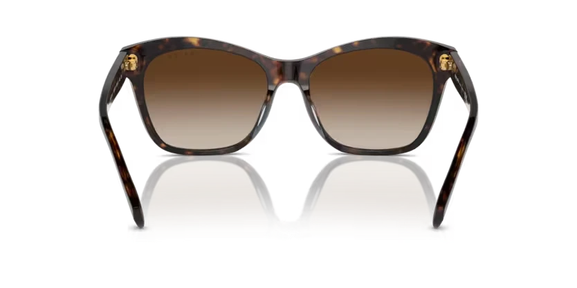 Ralph napszemüveg - Shiny Dark Havana / Gradient Brown