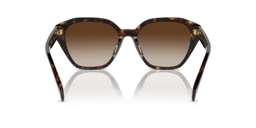 Ralph napszemüveg - Shiny Dark Havana / Gradient Brown
